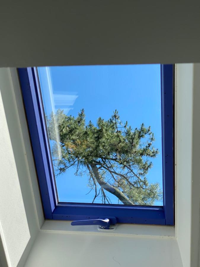 Apartament Le Loft Au-Dessus Des Pins Lacanau Zewnętrze zdjęcie