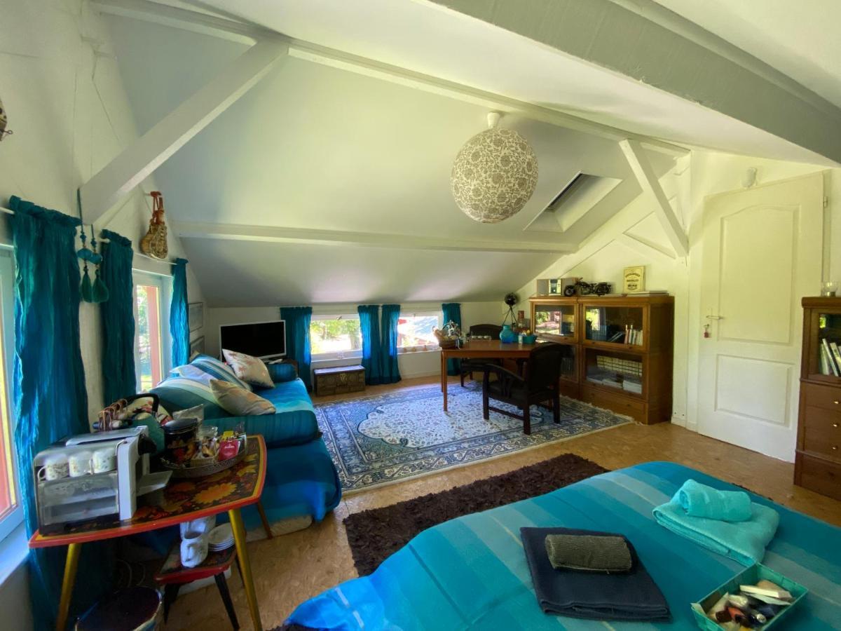 Apartament Le Loft Au-Dessus Des Pins Lacanau Zewnętrze zdjęcie