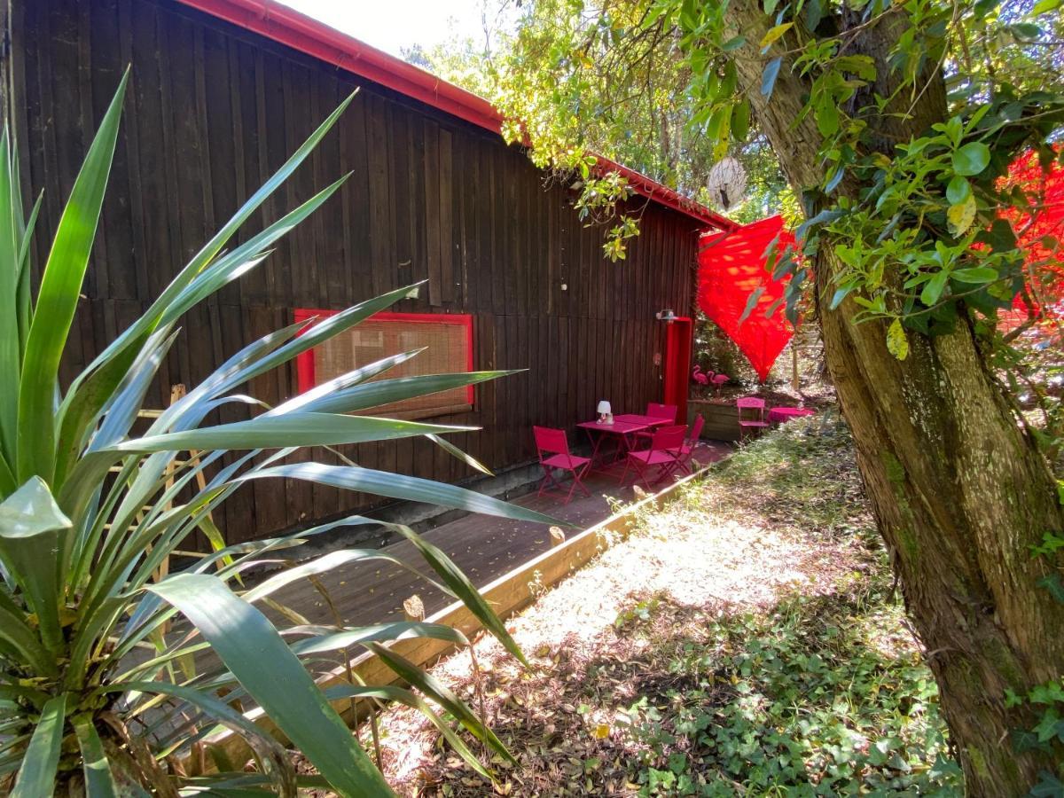 Apartament Le Loft Au-Dessus Des Pins Lacanau Zewnętrze zdjęcie