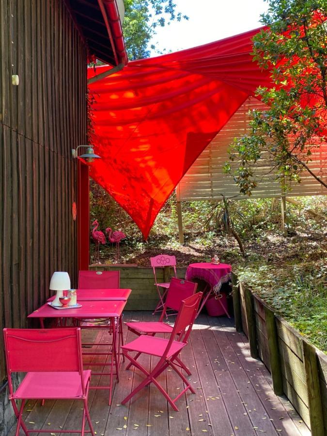 Apartament Le Loft Au-Dessus Des Pins Lacanau Zewnętrze zdjęcie