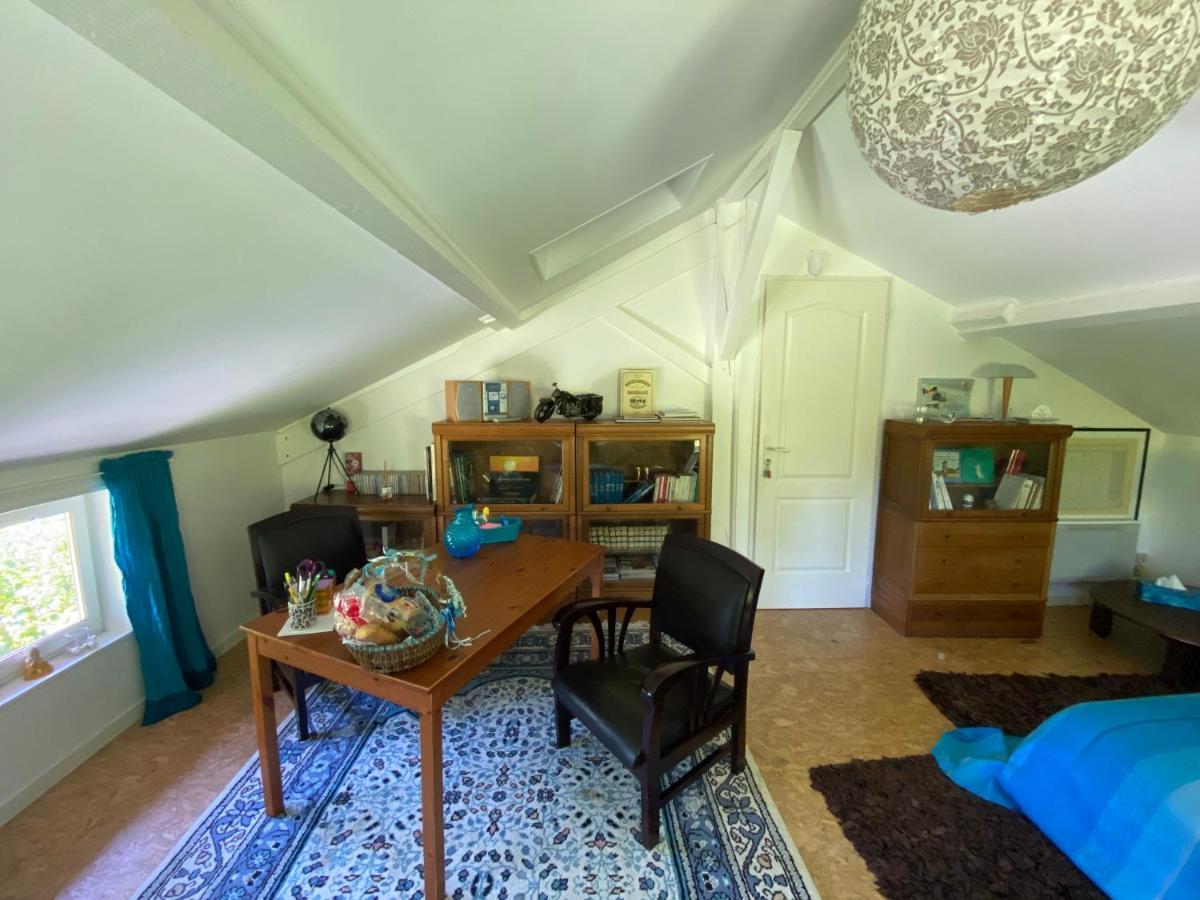 Apartament Le Loft Au-Dessus Des Pins Lacanau Zewnętrze zdjęcie