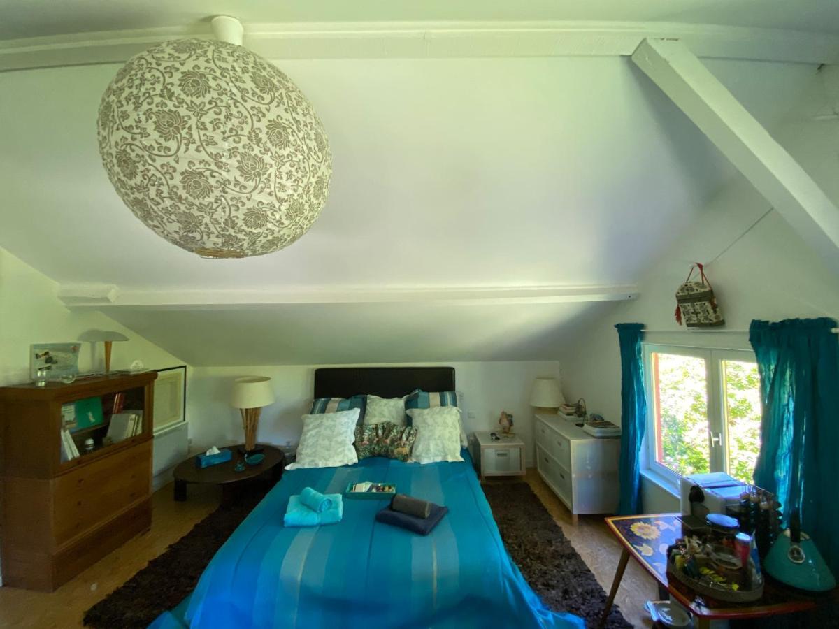 Apartament Le Loft Au-Dessus Des Pins Lacanau Zewnętrze zdjęcie